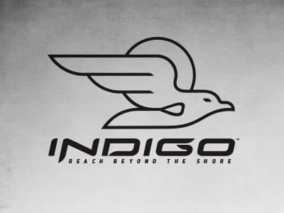 Indigo SUP Branding